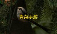 青菜手游